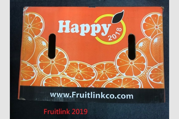 19 Fruitlink- Happy Brand