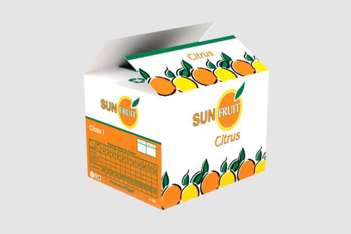 Sun-Fruit