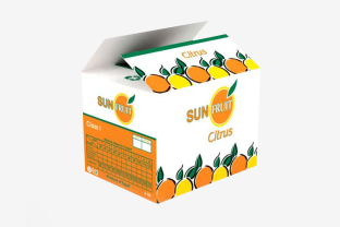 Sun-Fruit